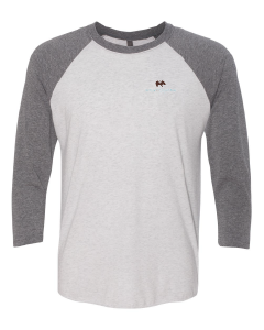 Next Level Unisex Tri-Blend Raglan Tee